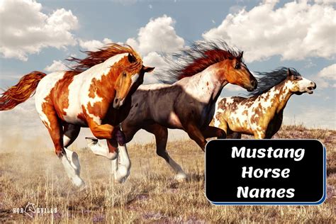 mustang horse names and meanings